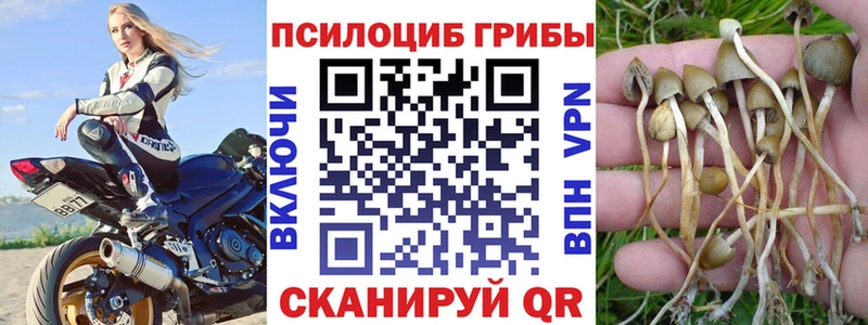 Псилоцибиновые грибы мухоморы Златоуст