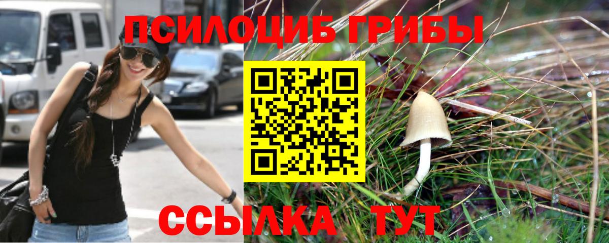 Псилоцибиновые грибы Psilocybe  Псилоцибиновые грибы мицелий  Златоуст  Вход с VPN 