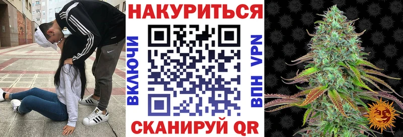 Шишки марихуана план  omg как зайти  Златоуст  где купить наркоту 